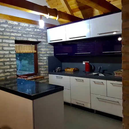 Stancevic Wellness *