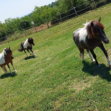 Vikendica Stancevic Wellness *