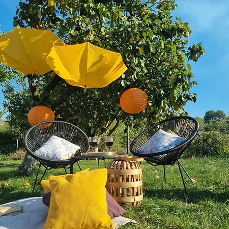 Stancevic Wellness *