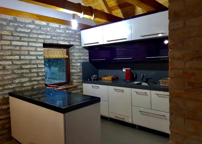 Stancevic Wellness *