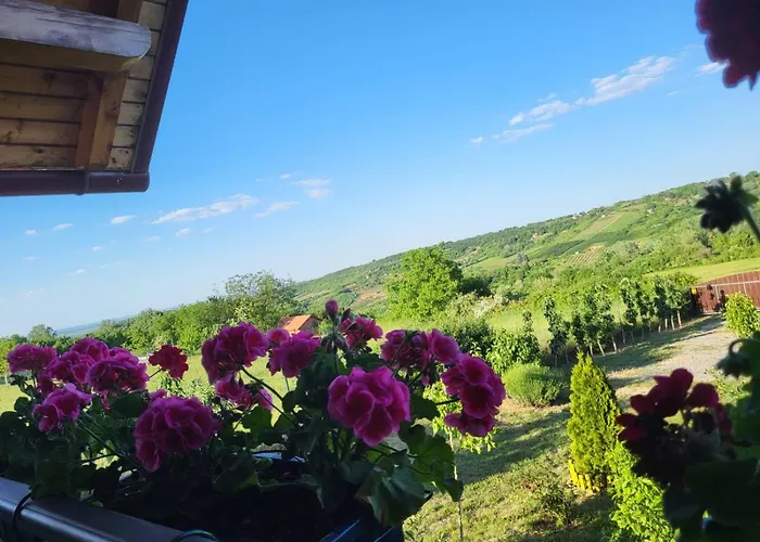 Stancevic Wellness *